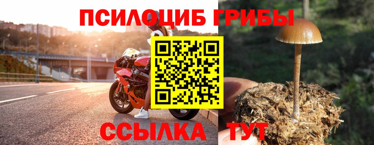 Галлюциногенные грибы прущие грибы Нефтеюганск